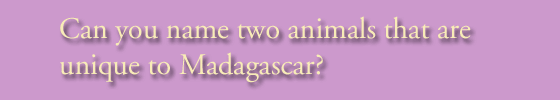 Can you name two animals that are unique to Madagascar?